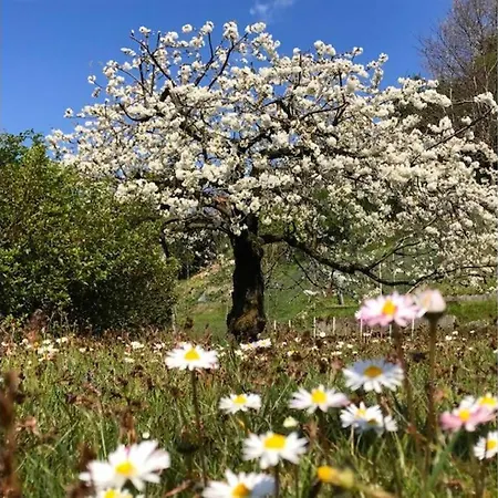 Como, Accogliente Mansarda Nel Verde Le Balze